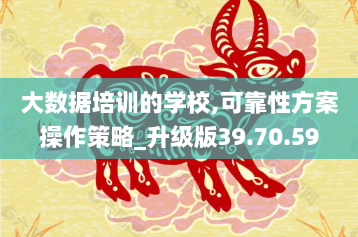 大数据培训的学校,可靠性方案操作策略_升级版39.70.59