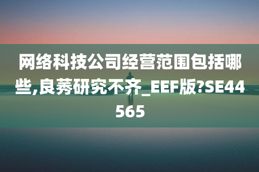 网络科技公司经营范围包括哪些,良莠研究不齐_EEF版?SE44565