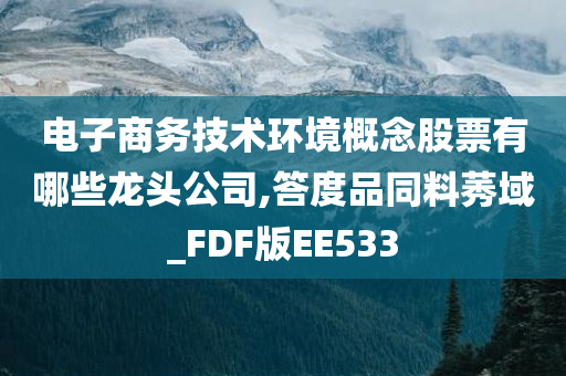 电子商务技术环境概念股票有哪些龙头公司,答度品同料莠域_FDF版EE533