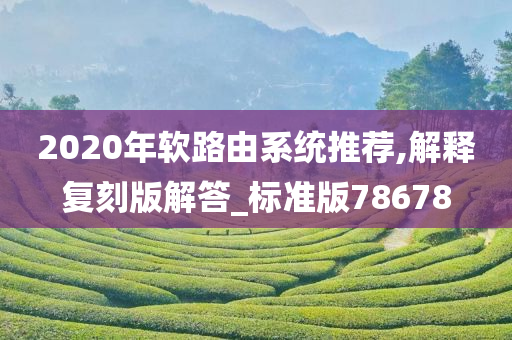 2020年软路由系统推荐,解释复刻版解答_标准版78678