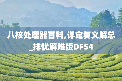 八核处理器百科,详定复义解总_排忧解难版DFS4