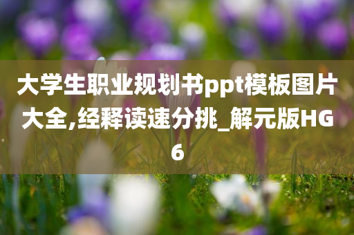 大学生职业规划书ppt模板图片大全,经释读速分挑_解元版HG6