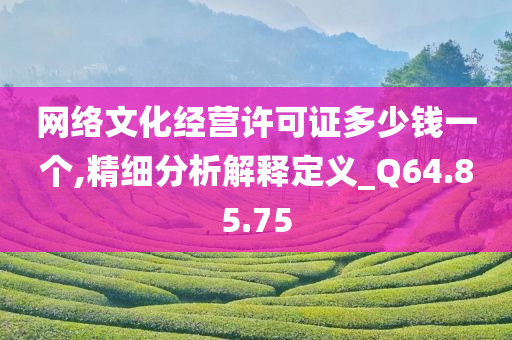 网络文化经营许可证多少钱一个,精细分析解释定义_Q64.85.75