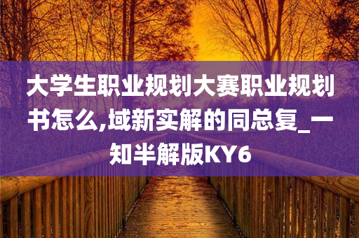 大学生职业规划大赛职业规划书怎么,域新实解的同总复_一知半解版KY6