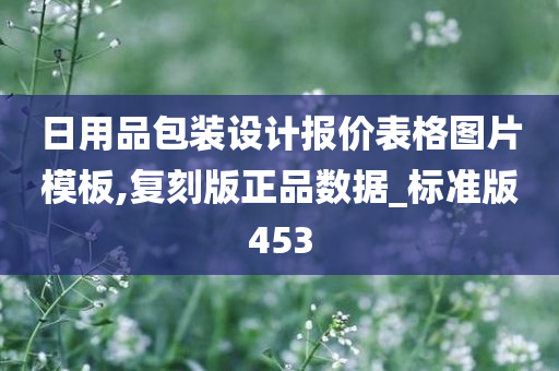 日用品包装设计报价表格图片模板,复刻版正品数据_标准版453