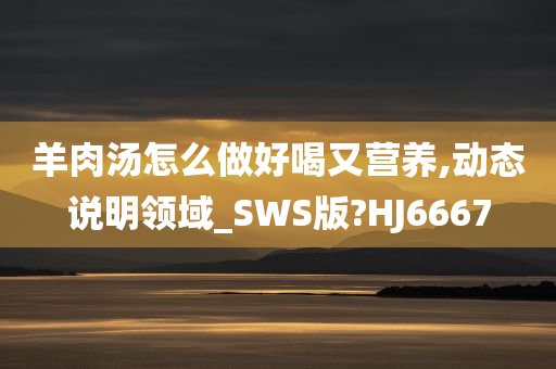 羊肉汤怎么做好喝又营养,动态说明领域_SWS版?HJ6667