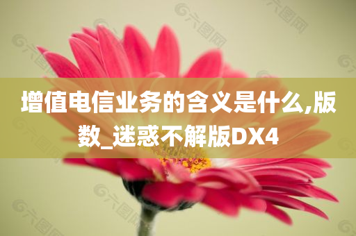 增值电信业务的含义是什么,版数_迷惑不解版DX4