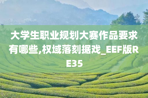 大学生职业规划大赛作品要求有哪些,权域落刻据戏_EEF版RE35