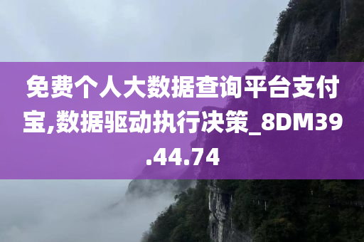 免费个人大数据查询平台支付宝,数据驱动执行决策_8DM39.44.74