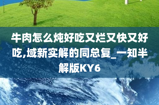 牛肉怎么炖好吃又烂又快又好吃,域新实解的同总复_一知半解版KY6