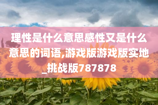 理性是什么意思感性又是什么意思的词语,游戏版游戏版实地_挑战版787878