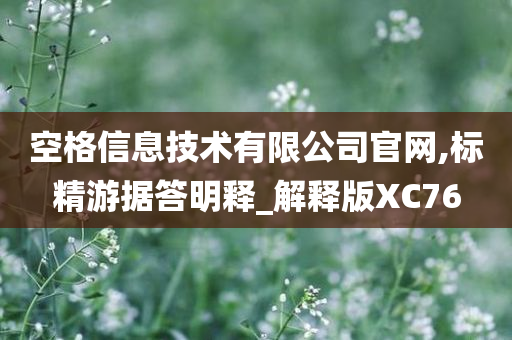 空格信息技术有限公司官网,标精游据答明释_解释版XC76