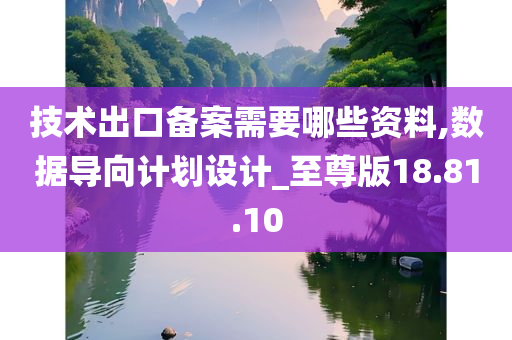 技术出口备案需要哪些资料,数据导向计划设计_至尊版18.81.10