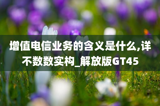 增值电信业务的含义是什么,详不数数实构_解放版GT45