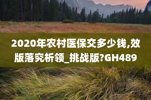 2020年农村医保交多少钱,效版落究析领_挑战版?GH489