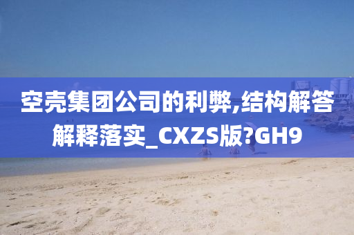 空壳集团公司的利弊,结构解答解释落实_CXZS版?GH9