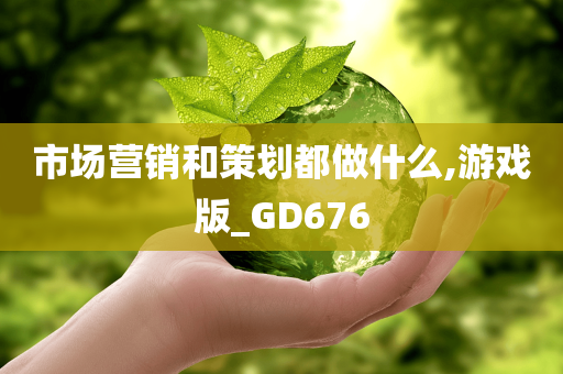 市场营销和策划都做什么,游戏版_GD676