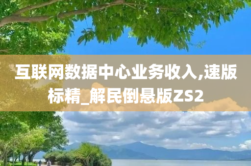 互联网数据中心业务收入,速版标精_解民倒悬版ZS2