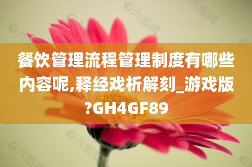 餐饮管理流程管理制度有哪些内容呢,释经戏析解刻_游戏版?GH4GF89