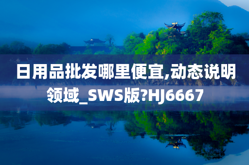 日用品批发哪里便宜,动态说明领域_SWS版?HJ6667