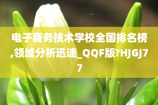 电子商务技术学校全国排名榜,领域分析迅速_QQF版?HJGJ77