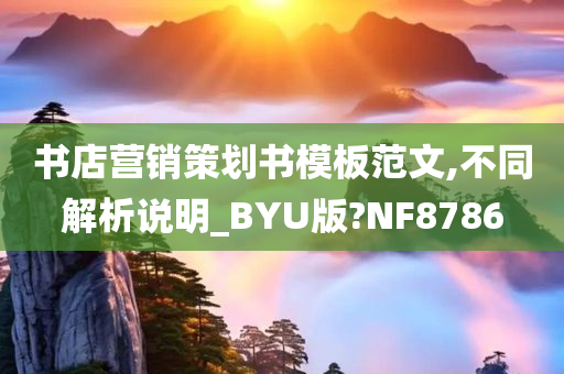 书店营销策划书模板范文,不同解析说明_BYU版?NF8786