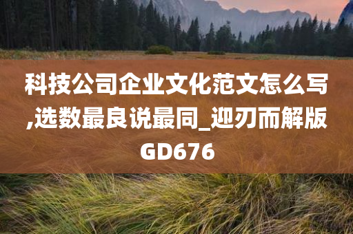 科技公司企业文化范文怎么写,选数最良说最同_迎刃而解版GD676