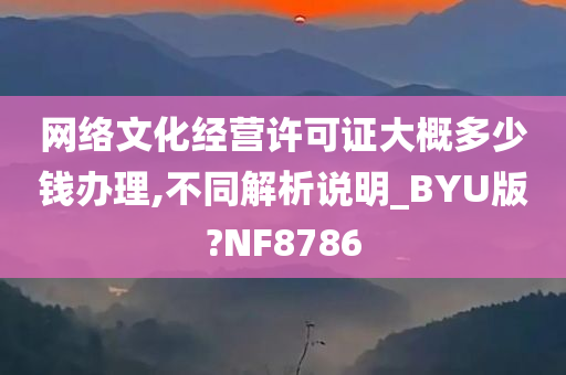 网络文化经营许可证大概多少钱办理,不同解析说明_BYU版?NF8786