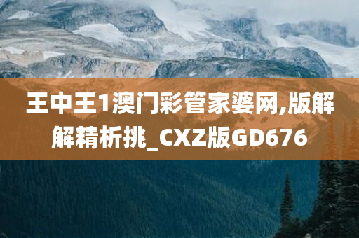 王中王1澳门彩管家婆网,版解解精析挑_CXZ版GD676