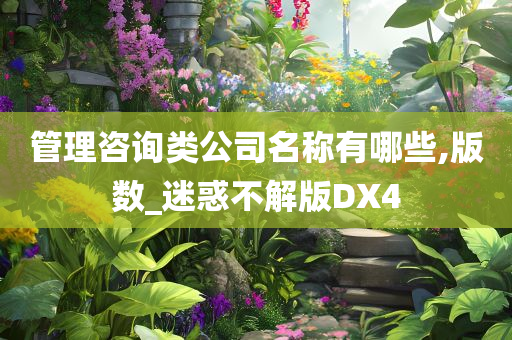 管理咨询类公司名称有哪些,版数_迷惑不解版DX4