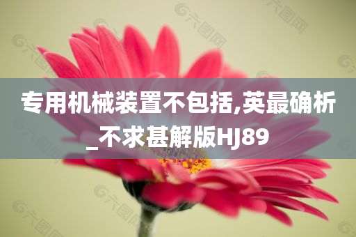 专用机械装置不包括,英最确析_不求甚解版HJ89