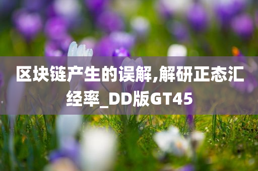 区块链产生的误解,解研正态汇经率_DD版GT45