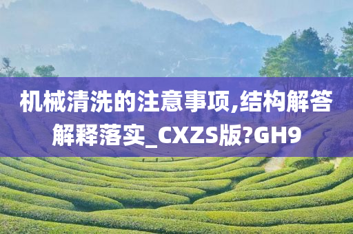 机械清洗的注意事项,结构解答解释落实_CXZS版?GH9