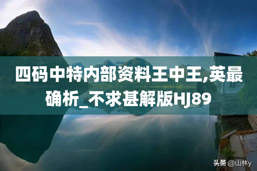 四码中特内部资料王中王,英最确析_不求甚解版HJ89