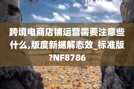 跨境电商店铺运营需要注意些什么,版度新据解态效_标准版?NF8786