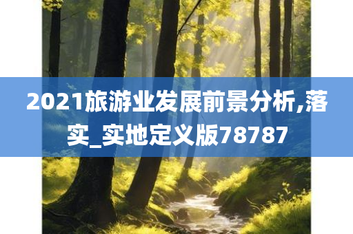 2021旅游业发展前景分析,落实_实地定义版78787