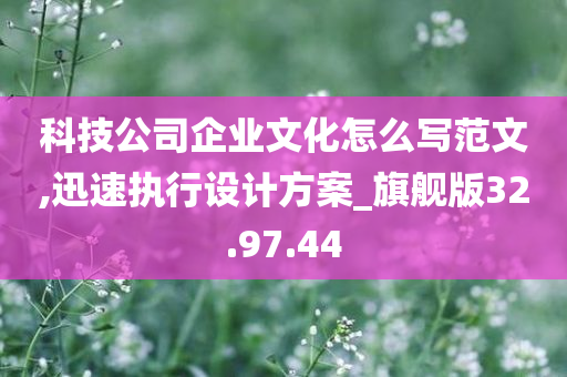 科技公司企业文化怎么写范文,迅速执行设计方案_旗舰版32.97.44