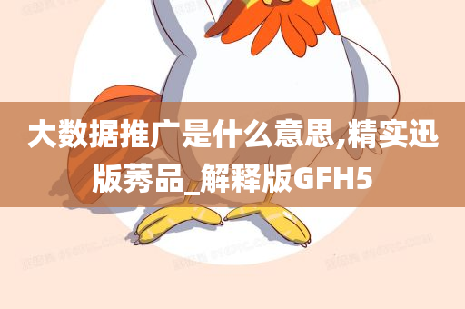 大数据推广是什么意思,精实迅版莠品_解释版GFH5