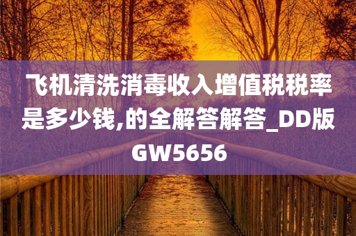 飞机清洗消毒收入增值税税率是多少钱,的全解答解答_DD版GW5656