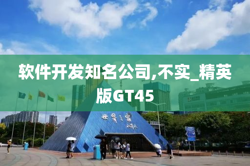 软件开发知名公司,不实_精英版GT45