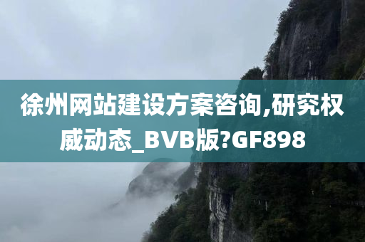 徐州网站建设方案咨询,研究权威动态_BVB版?GF898