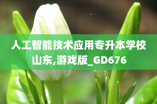 人工智能技术应用专升本学校山东,游戏版_GD676