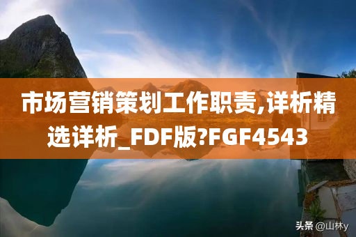 市场营销策划工作职责,详析精选详析_FDF版?FGF4543