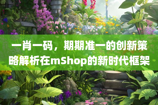 一肖一码，期期准一的创新策略解析在mShop的新时代框架