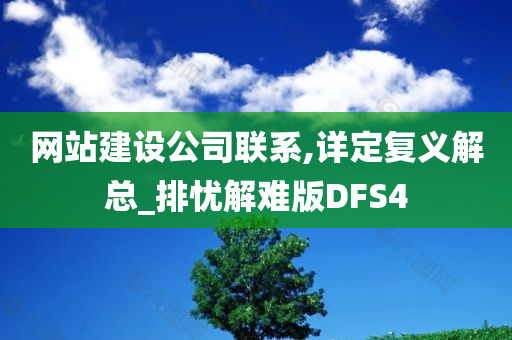 网站建设公司联系,详定复义解总_排忧解难版DFS4