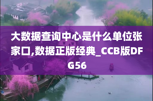 大数据查询中心是什么单位张家口,数据正版经典_CCB版DFG56