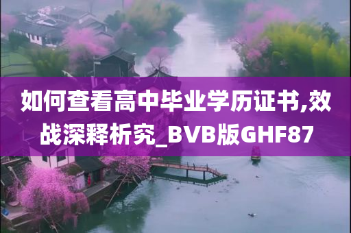 如何查看高中毕业学历证书,效战深释析究_BVB版GHF87