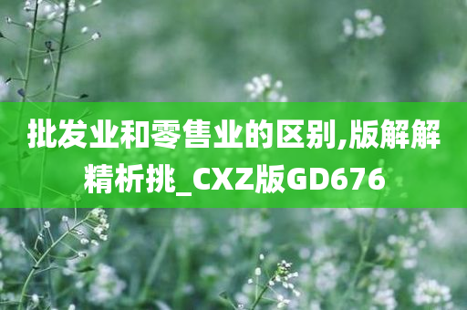 批发业和零售业的区别,版解解精析挑_CXZ版GD676