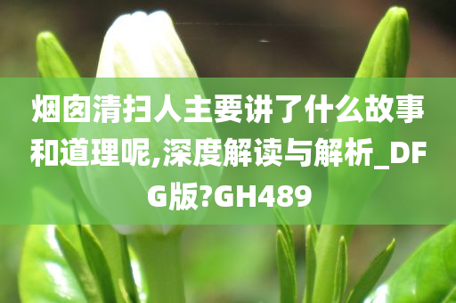 烟囱清扫人主要讲了什么故事和道理呢,深度解读与解析_DFG版?GH489