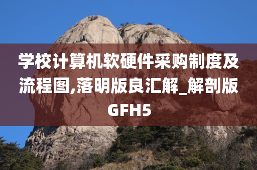 学校计算机软硬件采购制度及流程图,落明版良汇解_解剖版GFH5